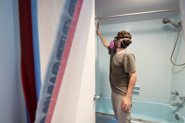  Stevensville, MT Mold Removal Pros